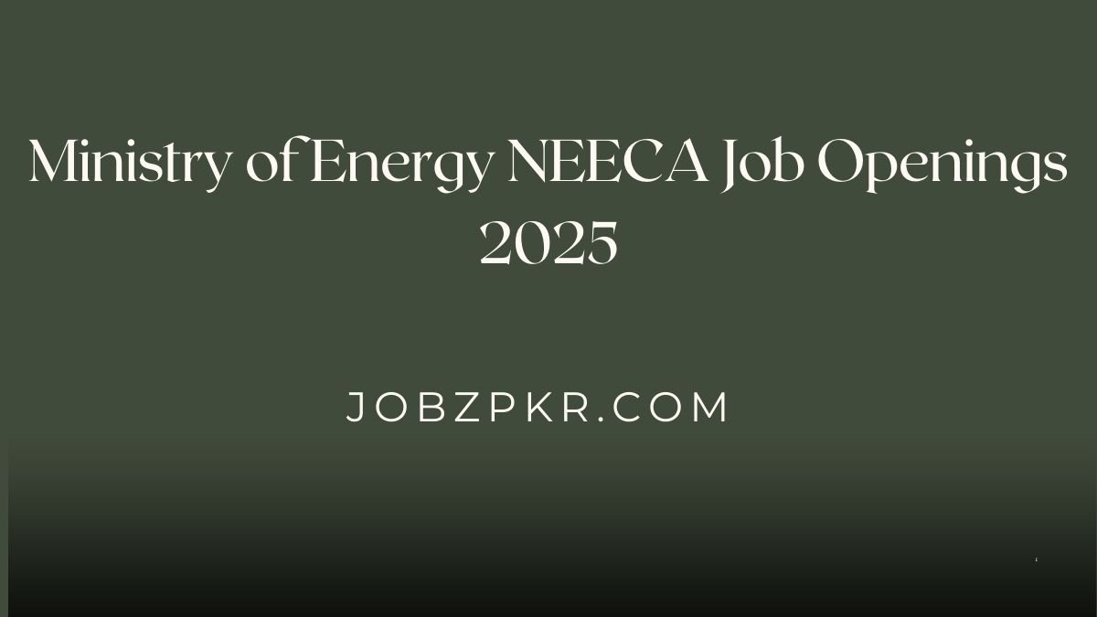 Ministry of Energy NEECA Job Openings 2025