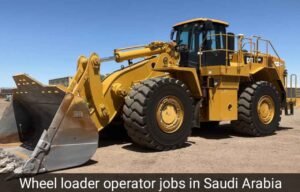 20260208_162049_11zon