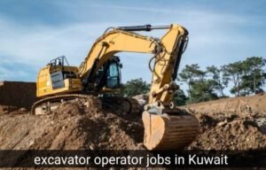 20260209_030920_11zon